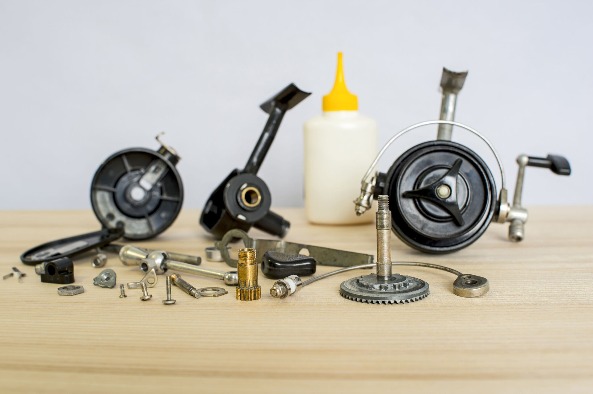 AdobeStock_239953967 (1)